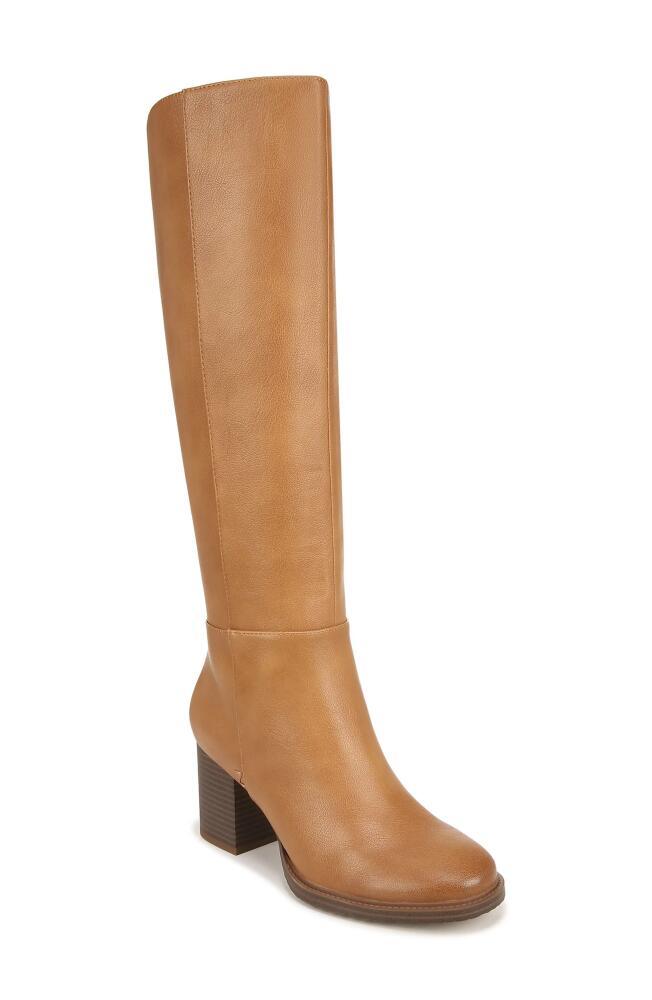 Zodiac Riona Knee High Boot in Latte Cover