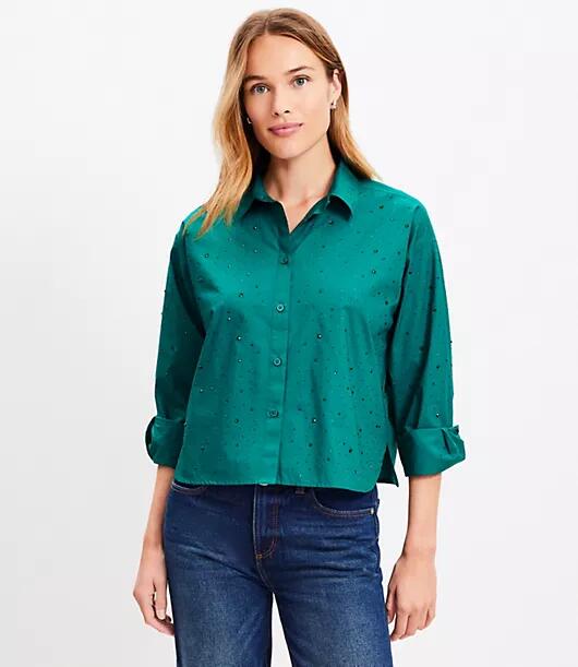 Loft Sparkle Poplin Modern Shirt Cover