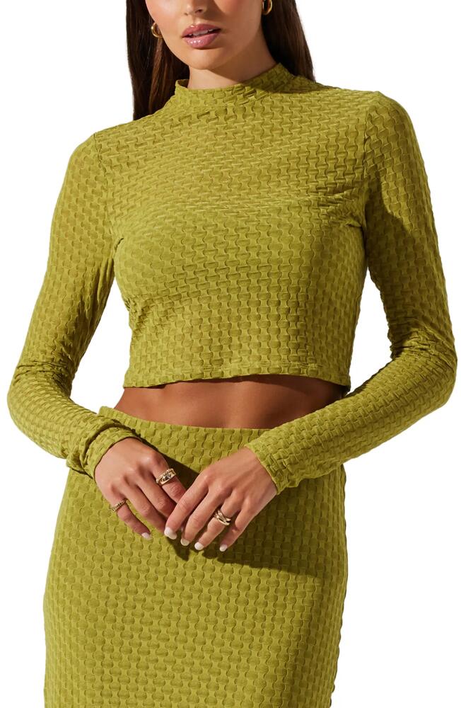 ASTR the Label Indah Long Sleeve Crop Top in Avocado Green Cover