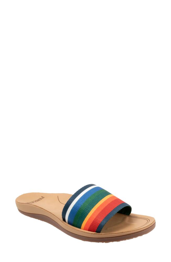 Pendleton Crater Lake Slide Sandal in Navy Cover