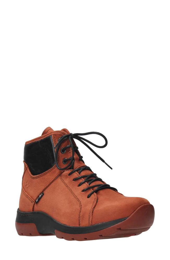 Wolky Ambient Water Resistant Boot in Terra Cover