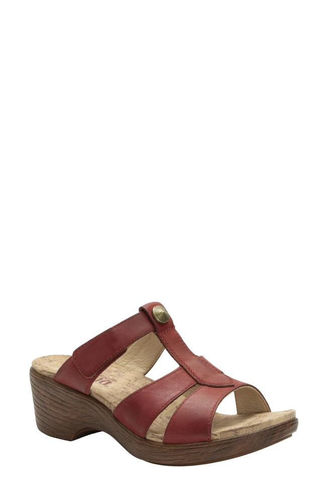 Alegria by PG Lite Shantal Platform Slide Sandal in Salmonberry Cover