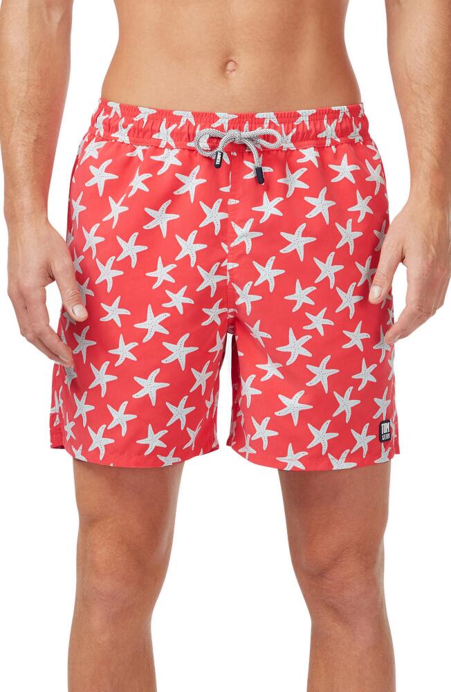 Tom & Teddy Starfish Print Swim Trunks in Rose/Blue Cover