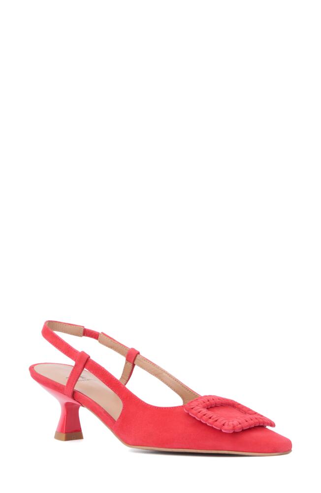 Aquatalia Arabella Kitten Heel Slingback Pump in Raspberry Cover