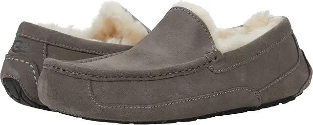 UGG Ascot (Grey) Men's Slippers Cover