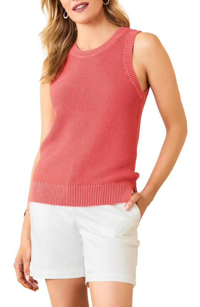 Tommy Bahama Belle Haven Cotton Blend Sweater Tank in Paradise Pink Cover