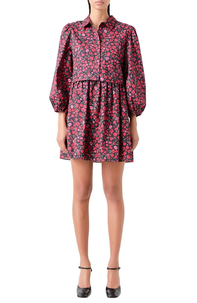 English Factory Floral Mini Shirtdress in Black/Pink/Red Cover