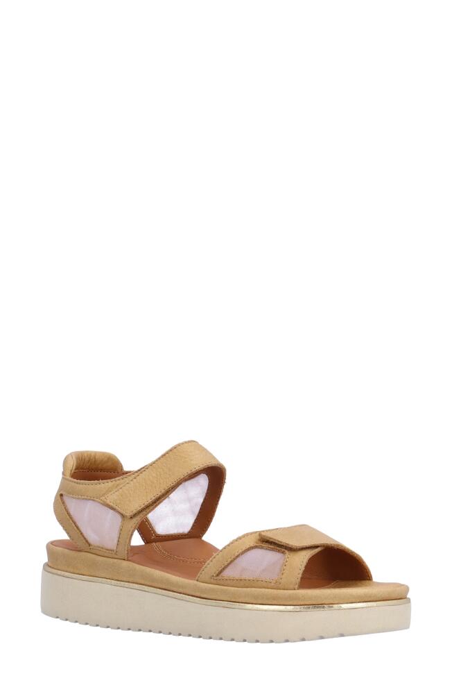 L'Amour des Pieds Arna Sandal in Lioness Cover