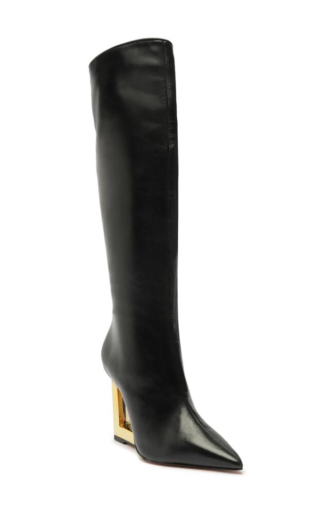 Schutz Filipa Pointed Toe Tall Boot in Black Cover