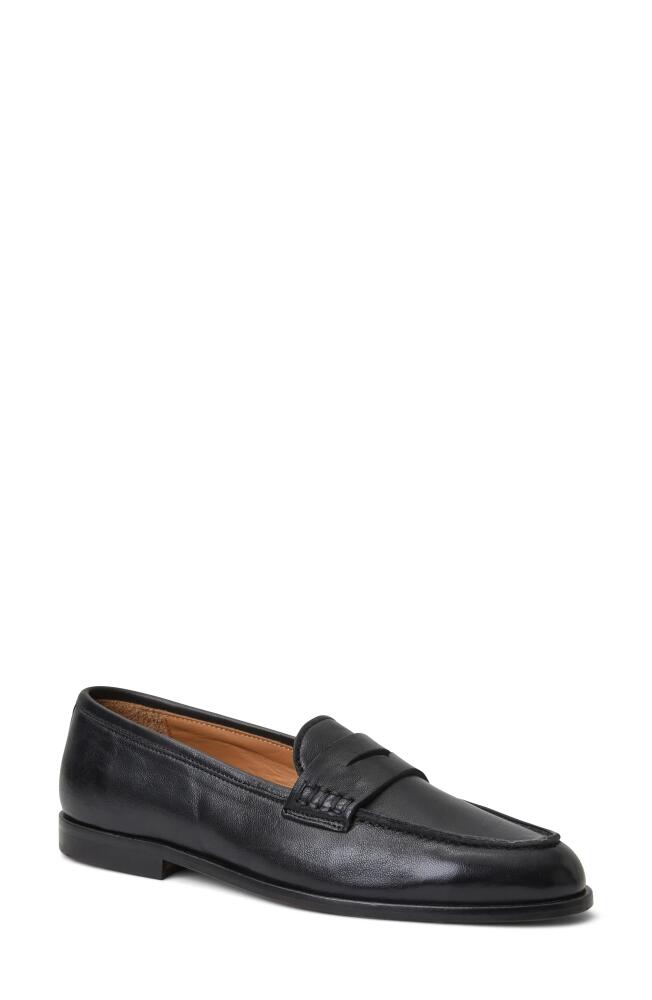 Bruno Magli Lixia Loafer in Black Cover