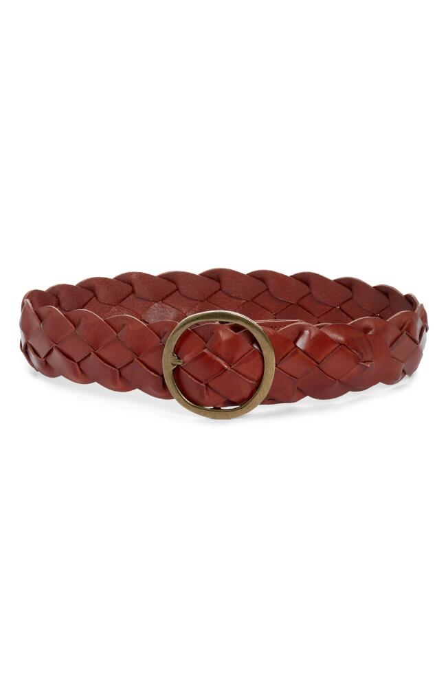 Treasure & Bond Kaylee Braided Leather Belt in Cognac Cover