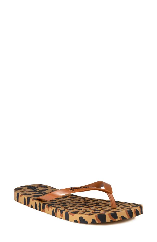 Ipanema Animal Print Flip Flop in Beige Cover