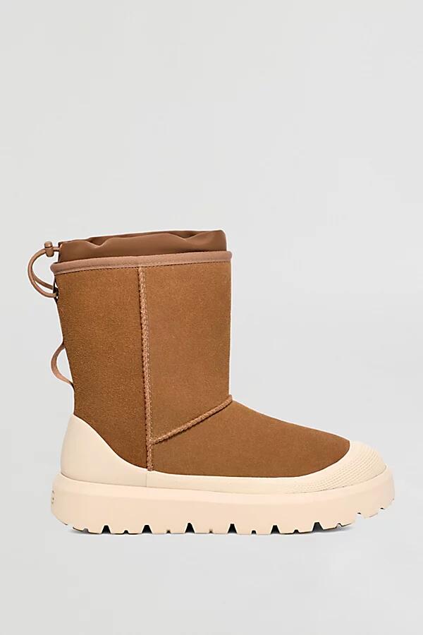 UGG Classic Short Weather Hybrid Boot in Chestnut/Whitecap Cover