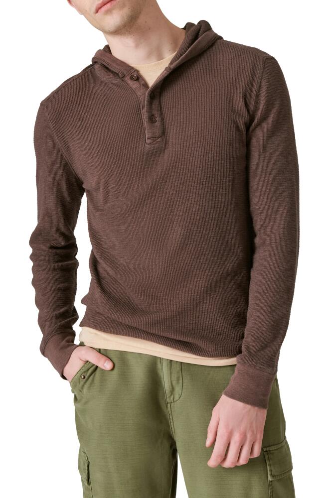 Lucky Brand Garment Dye Thermal Hooded Henley in Seal Brown Cover