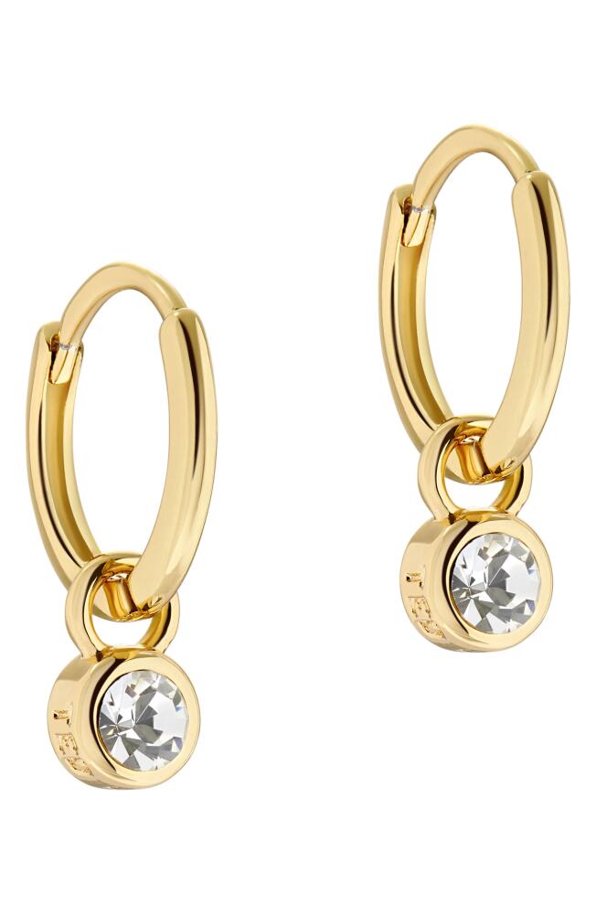 Ted Baker London Sinalaa Crystal Mini Huggie Hoop Earrings in Gold Tone Clear Crystal Cover