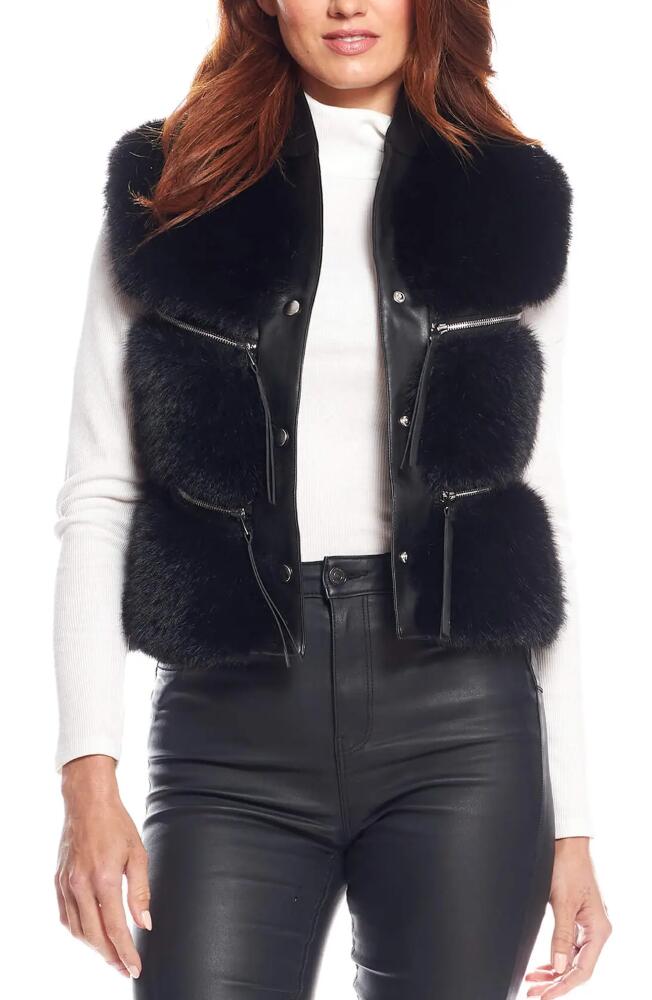 DONNA SALYERS FABULOUS FURS La Moda Faux Fur & Faux Leather Vest in Black Cover