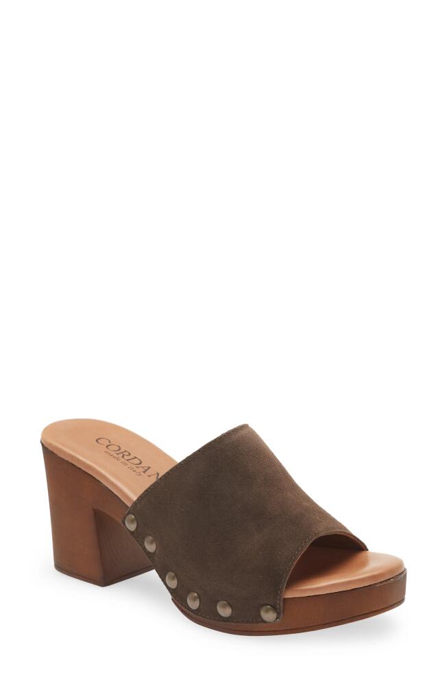 Cordani Whitley Block Heel Sandal in Cacao Cover