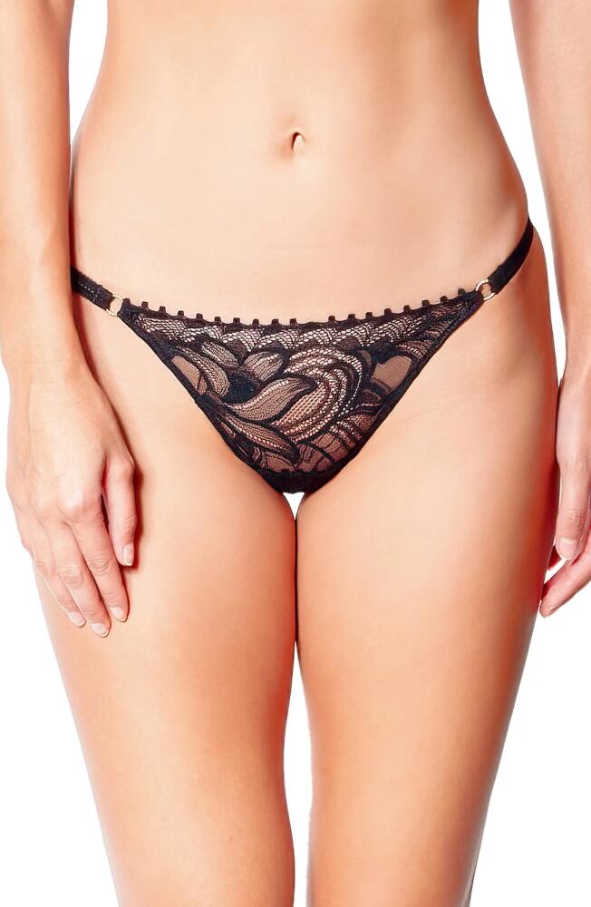 Huit Nuit Folles Lace Thong in Black Cover