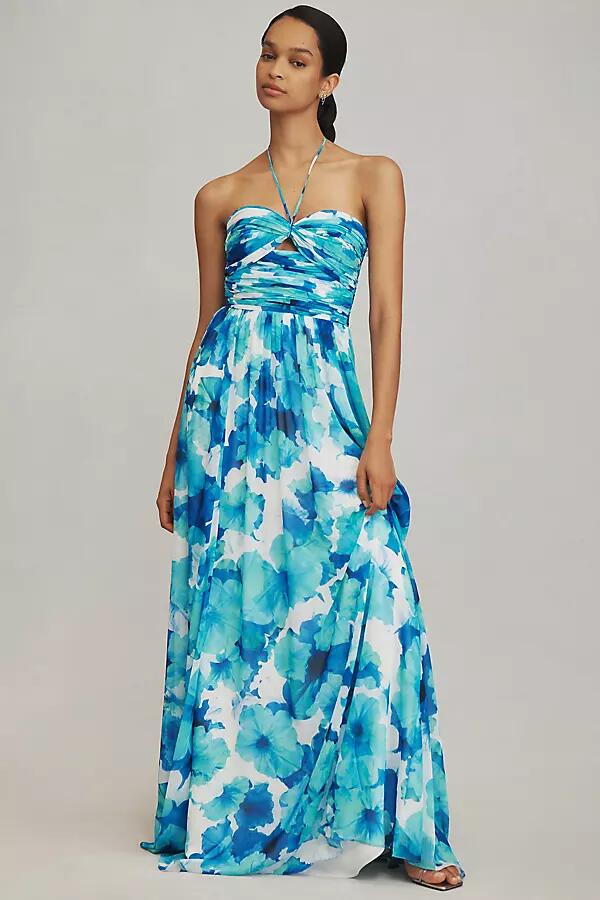 ML Monique Lhuillier Emilia Halter Maxi Dress Cover