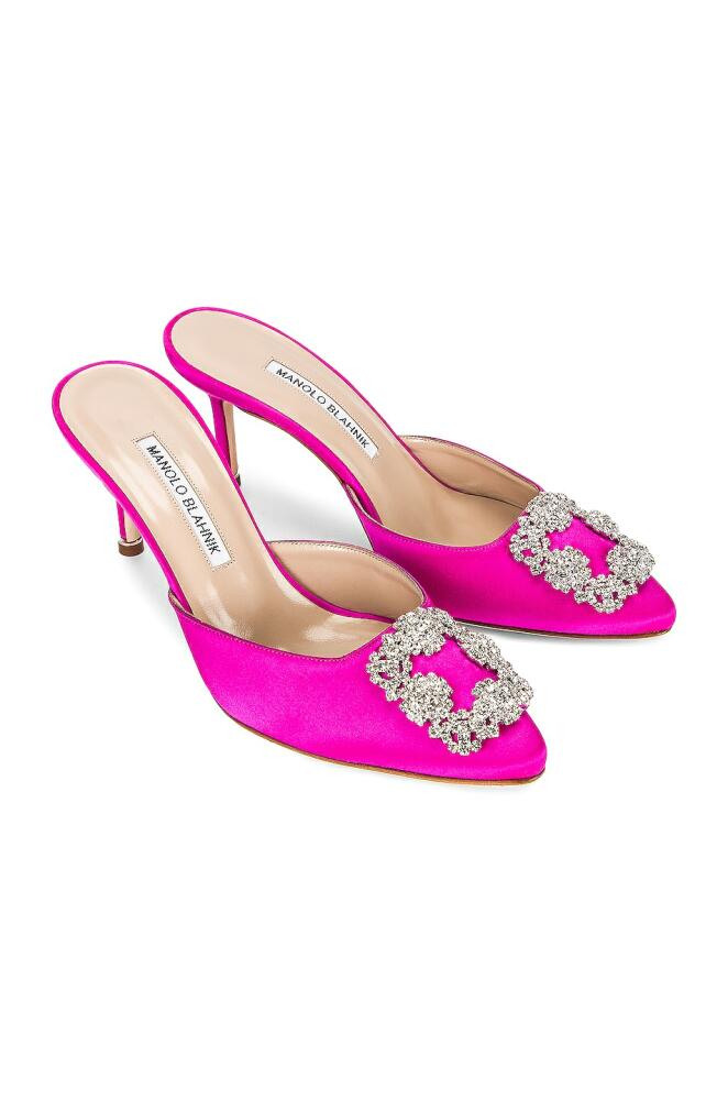 Manolo Blahnik Hangisi 70 Mule in Pink Cover