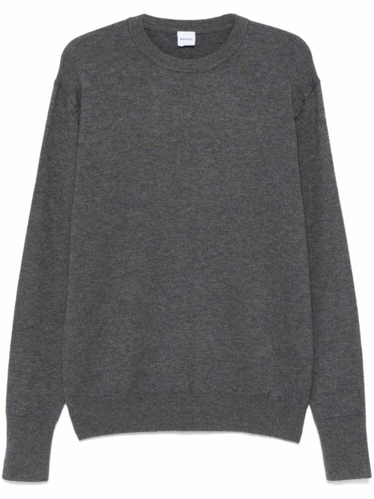 ASPESI crew-neck wool sweater - Grey Cover