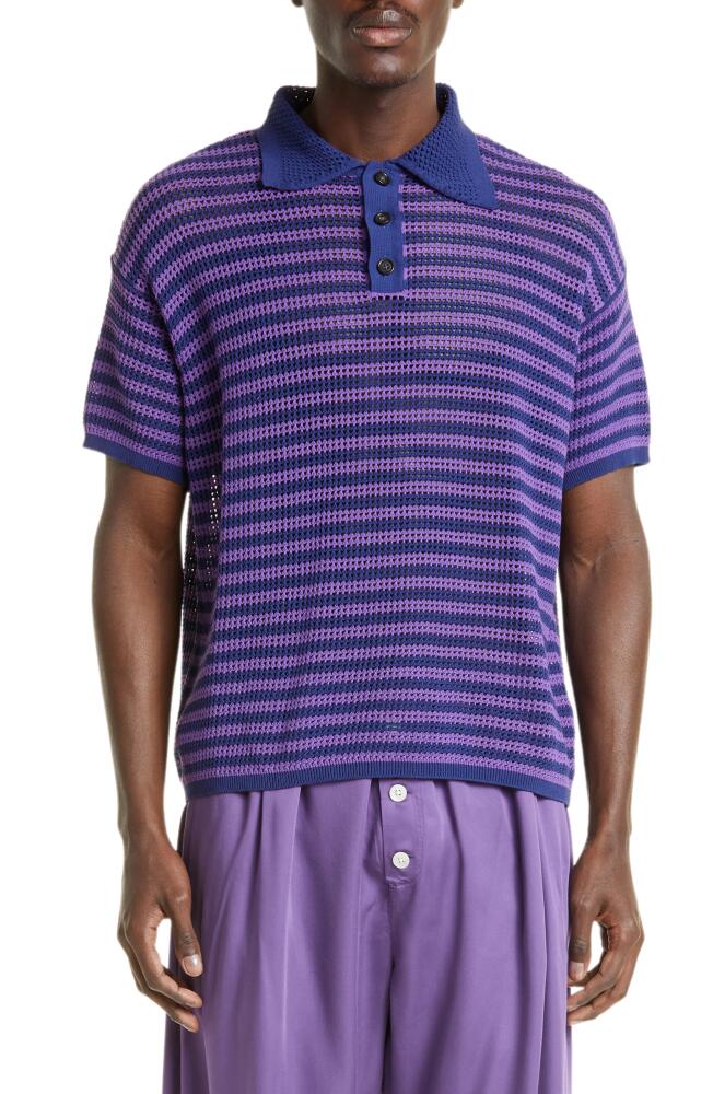 Bode Stripe Lattice Knit Cotton Polo in Lavender Cover