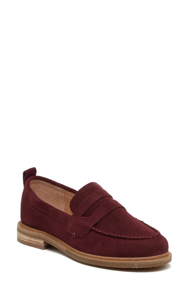 Kelsi Dagger Brooklyn Lens Penny Loafer in Garnet Cover