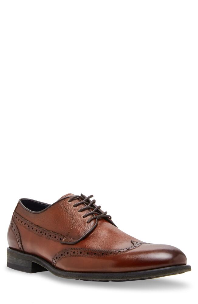 Steve Madden Aamari Wingtip Derby in Tan/Tan Cover