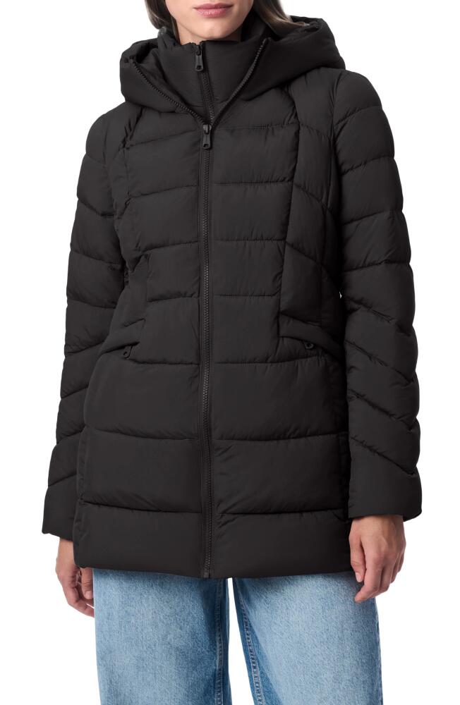 Bernardo Hooded Puffer Jacket with Bib in Black Cover