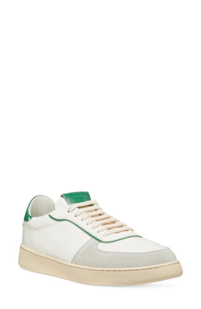 Stuart Weitzman SW Courtside Sneaker in Light Grey/White/Green Cover