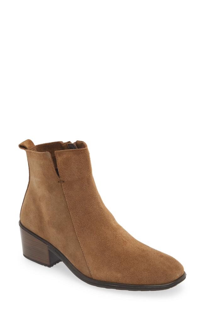 Naot Ethic Bootie in Acorn Suede Cover