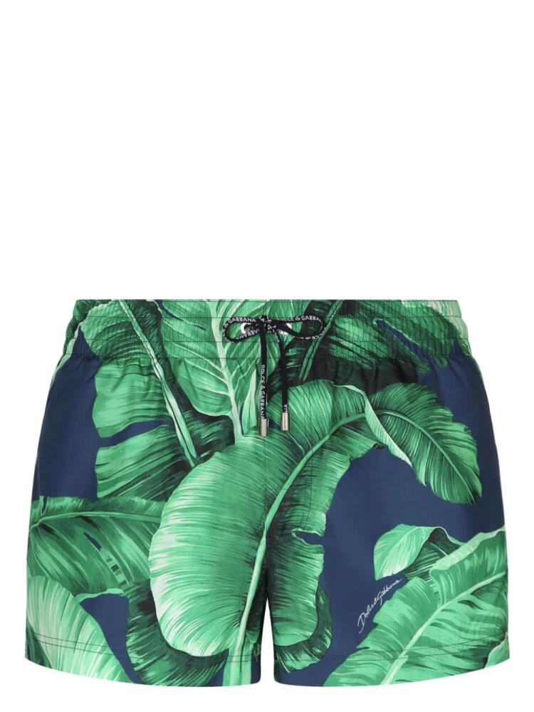 Dolce & Gabbana leaf-print swim shorts - Blue Cover