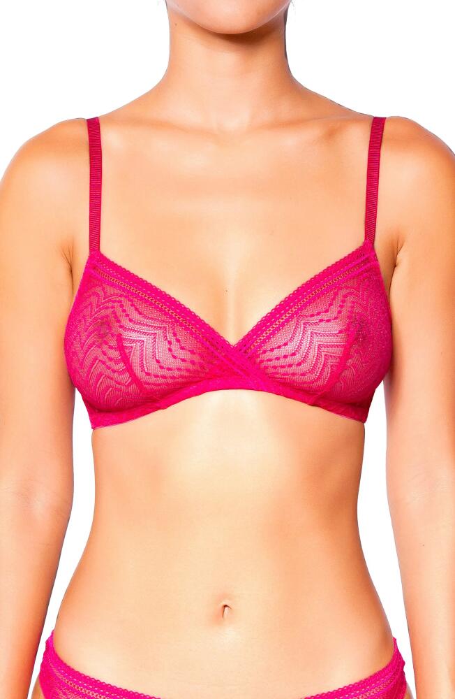 Huit Eclantante Lace Bra in Fuchsia Cover