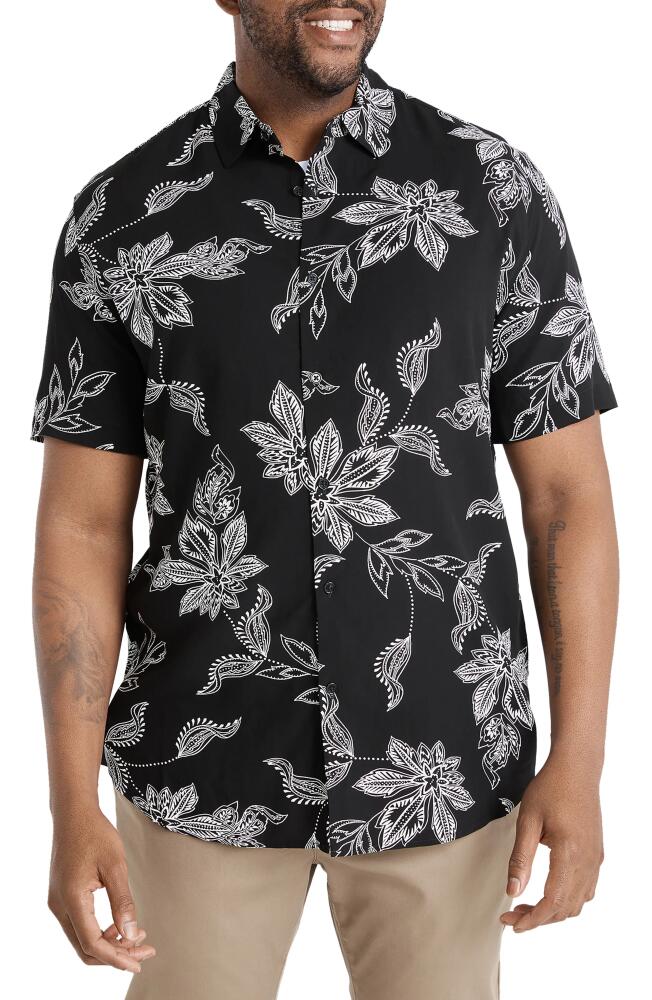 Johnny Bigg Floral Short Sleeve Button-Up Shirt in Black Cover