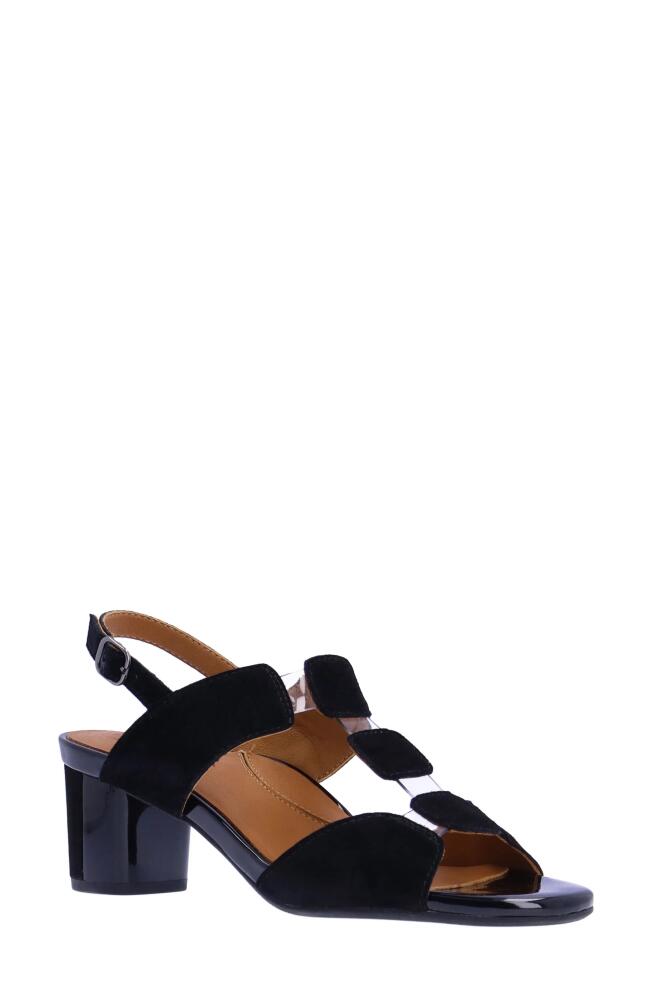 L'Amour des Pieds Mitria Sandal in Black Cover