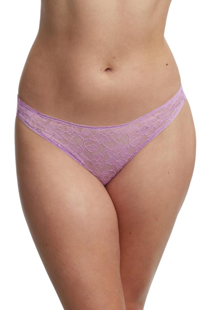 Skarlett Blue Paradise High Cut Lace Bikini in Sweet Plum Cover