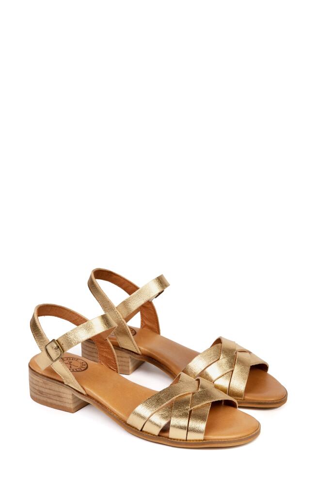 Penelope Chilvers Shepherdess Ankle Strap Sandal in Gold Cover