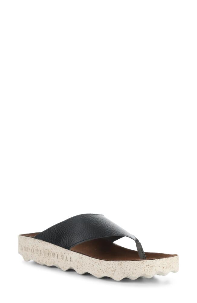 Asportuguesas by Fly London Cami Platform Flip Flop in Black Eco Faux Leather Cover