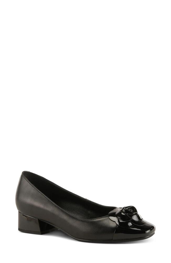 AZURA BY SPRING STEP Angelinite Cap Toe Pump in Black Cover