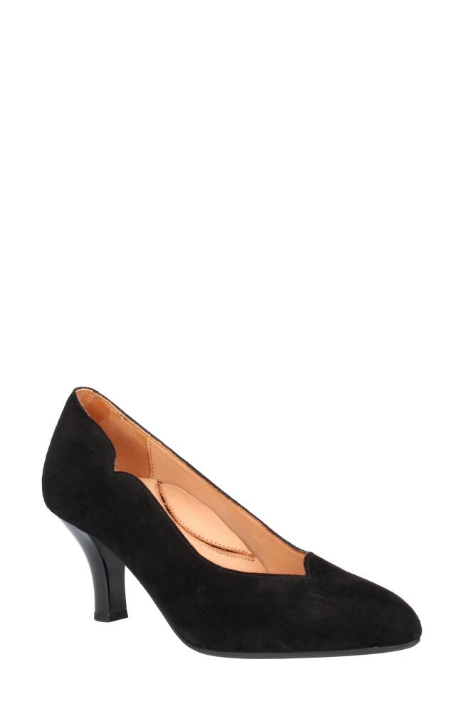 L'Amour des Pieds Bambelle Pointed Toe Pump in Black Cover