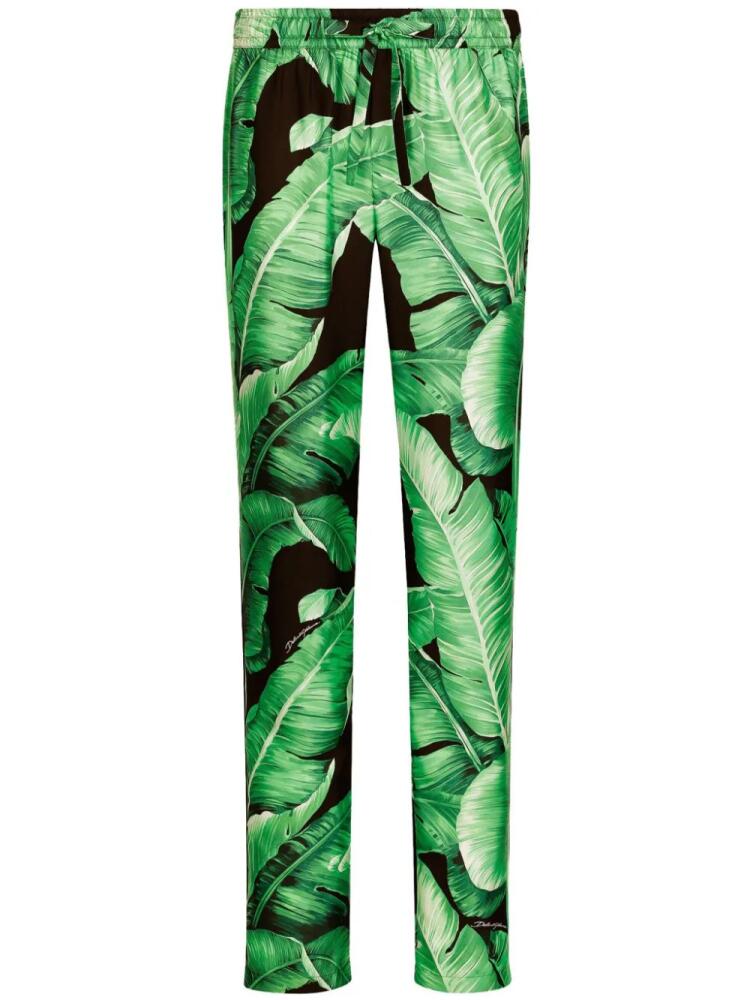 Dolce & Gabbana Banano print silk lounge trousers - Green Cover