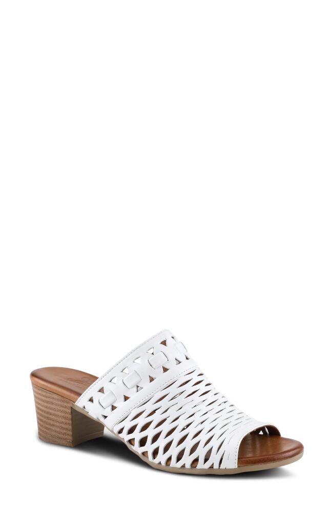 Spring Step Anika Slide Sandal in White Cover