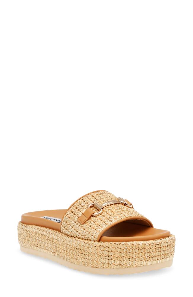 Steve Madden Kayley Platform Slide Sandal in Nat Raffia Cover