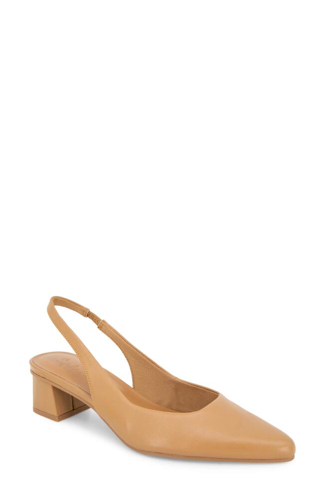 Splendid Luma Slingback Pump in Cuoio Cover