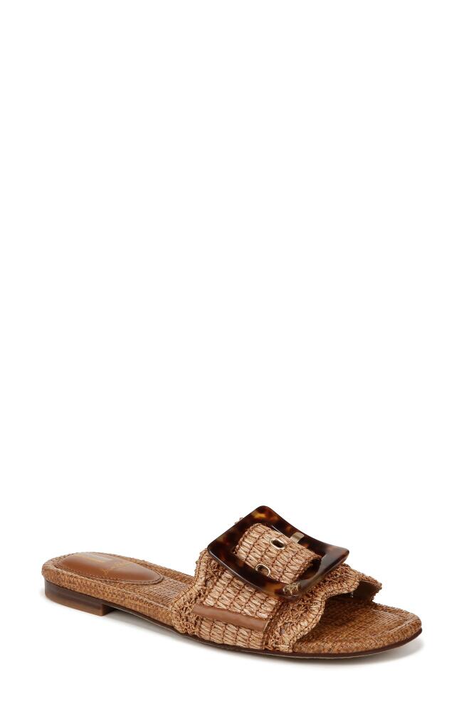 Sam Edelman Bambi Raffia Buckle Slide Sandal in Cuoio Cover