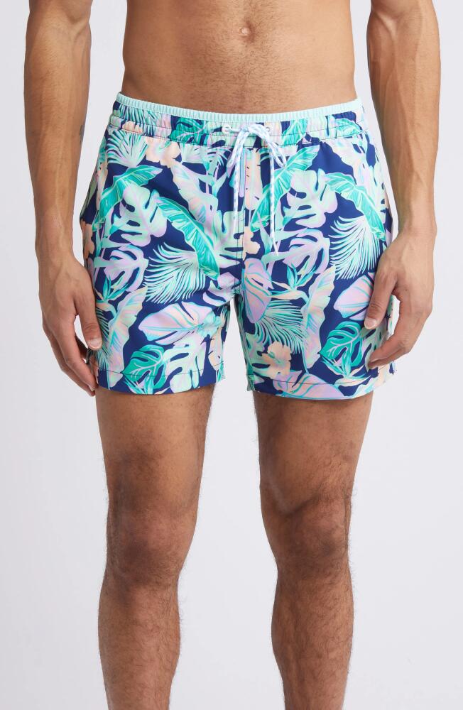 Chubbies Classic Lined 5.5-Inch Swim Trunks in The Night Faunas Cover