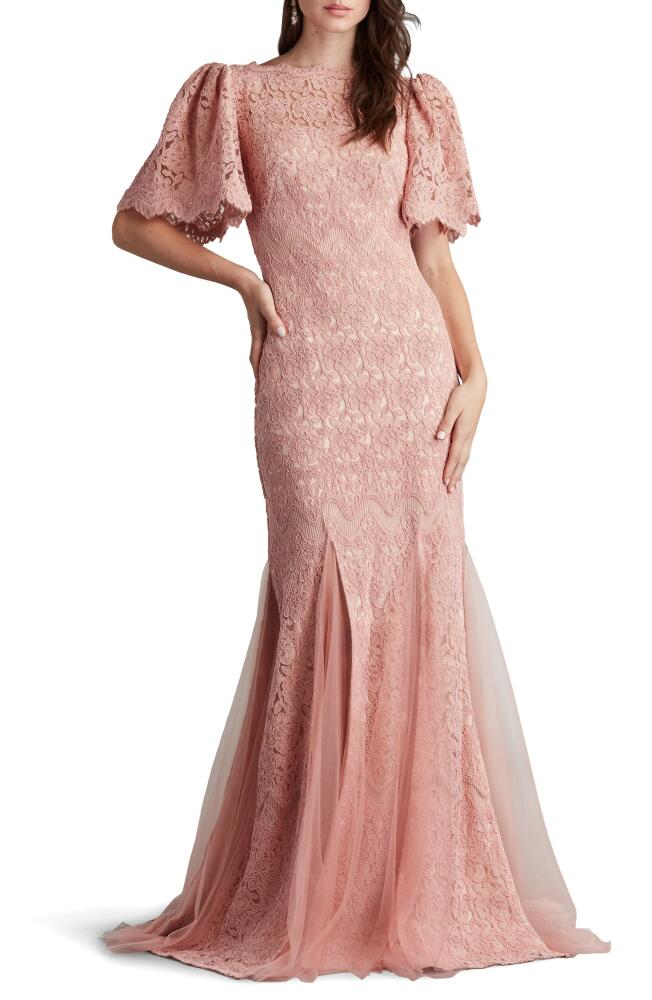 Tadashi Shoji Flutter Sleeve Corded Lace Trumpet Gown in Antique Pink Cover