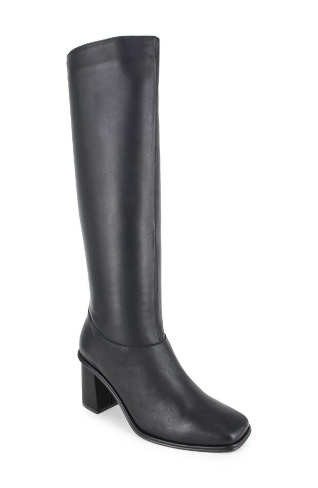 Splendid Vara Knee High Boot in Black Cover