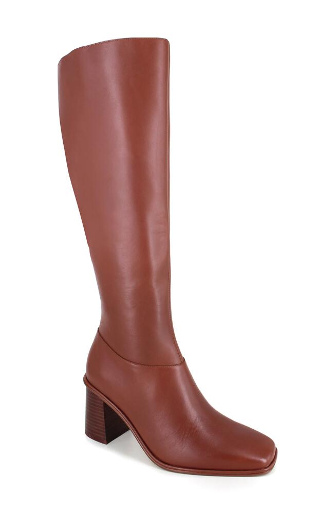 Splendid Vara Knee High Boot in Acorn Cover