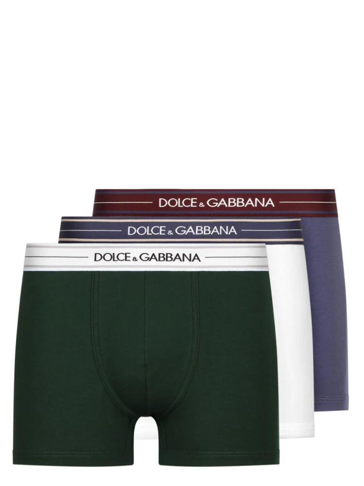 Dolce & Gabbana set of three logo-tape cotton boxers - Black Cover